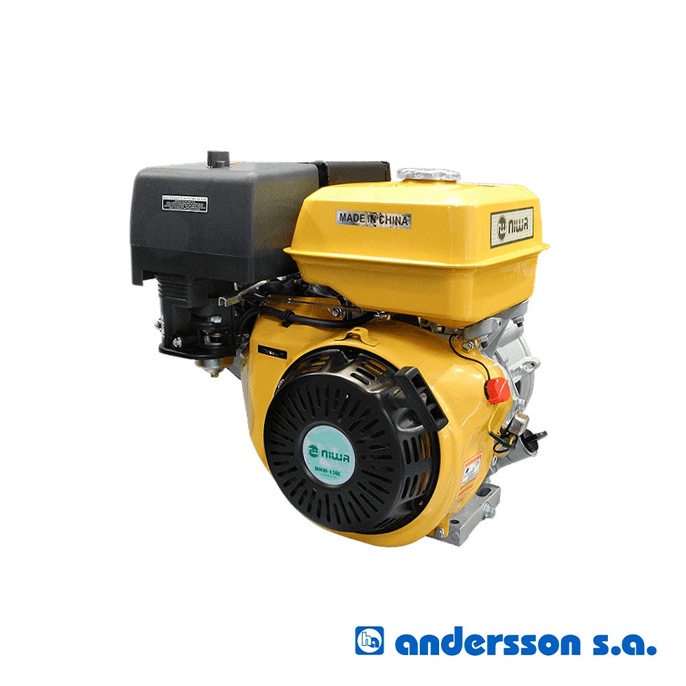 motor-explhoriz13hp-4tarrelectmnw130eniwaxun-5855