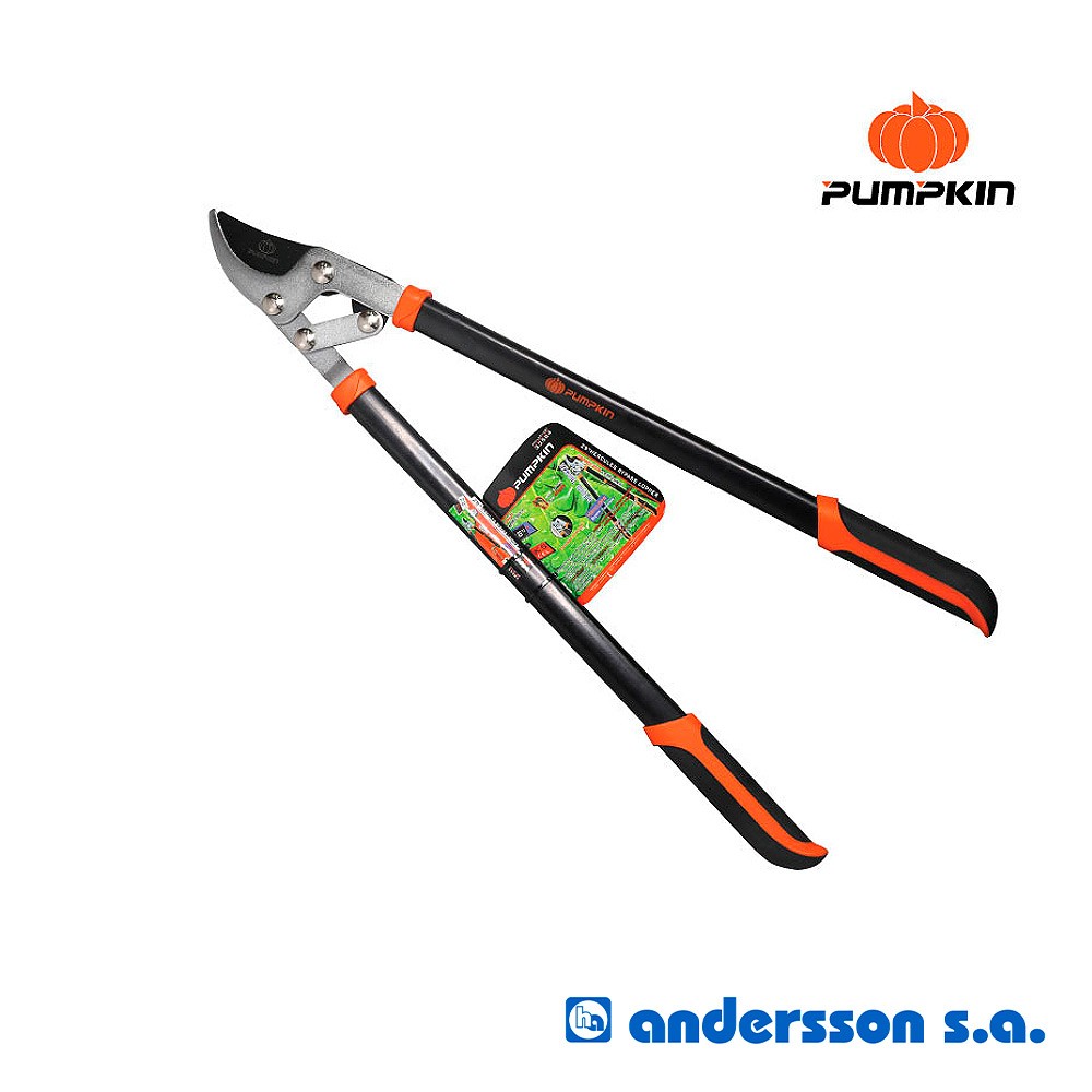 tijera-podar-cercos-25cmpumkinxun-5743