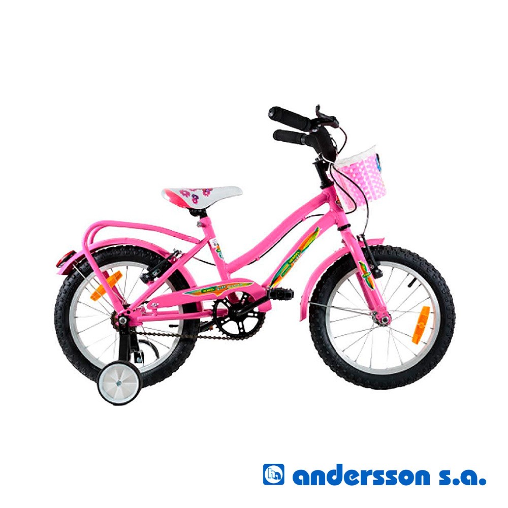 bicicleta-full-r16-dama-delfin-especial-ccanastoenergyxun-4018