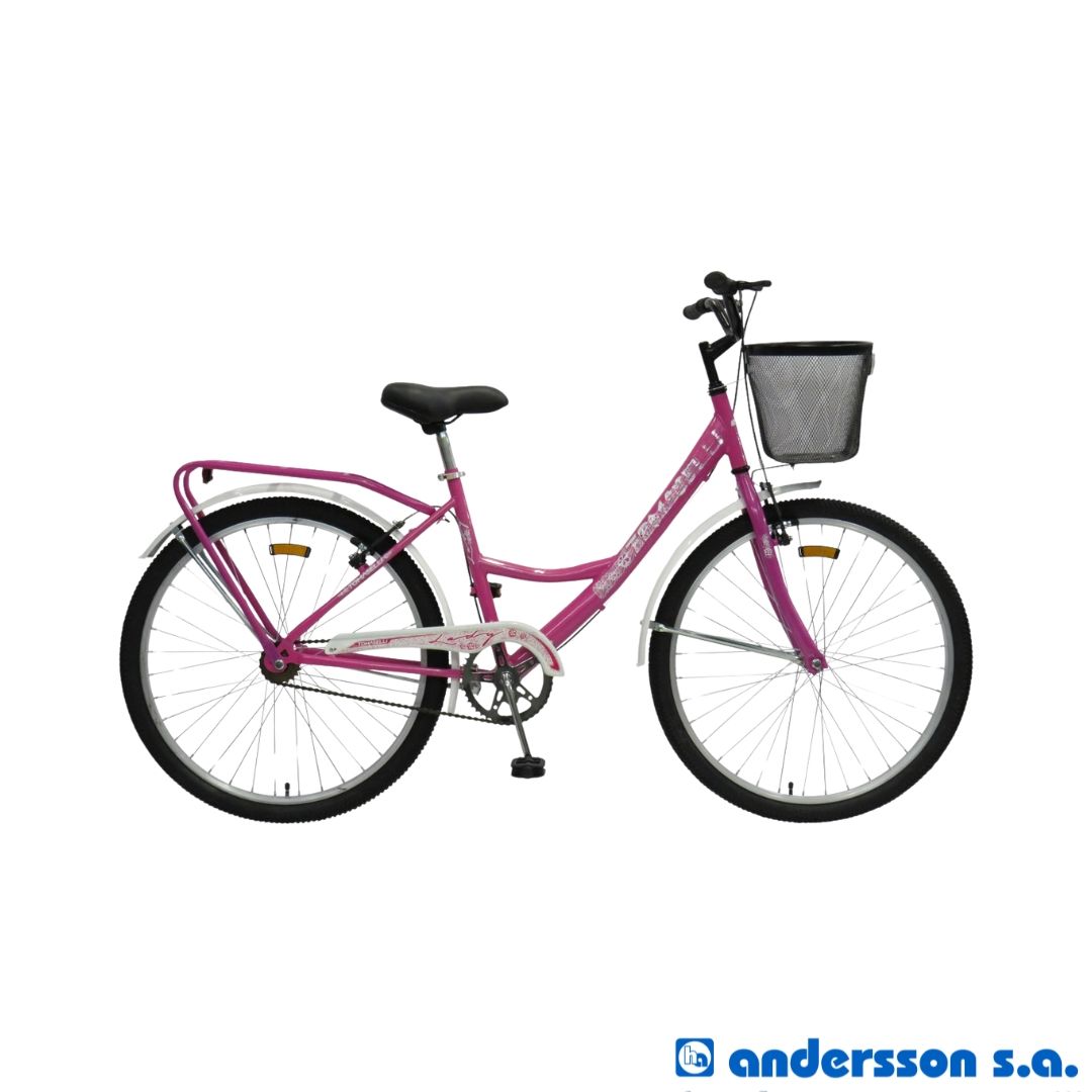 bicicleta-mtb-r26-dama-18vsky-cportapaqkeirinxun-14793